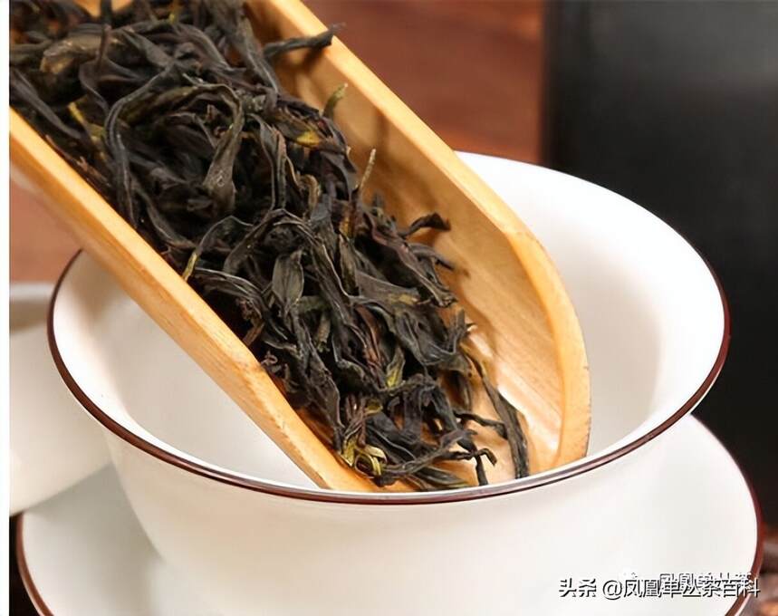 凤凰单丛茶-鸭屎香，名字很臭，但茶很香