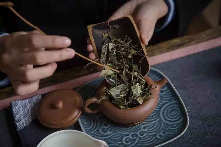 多年转化后，为什么枣香成了寿眉饼茶的专属定制？