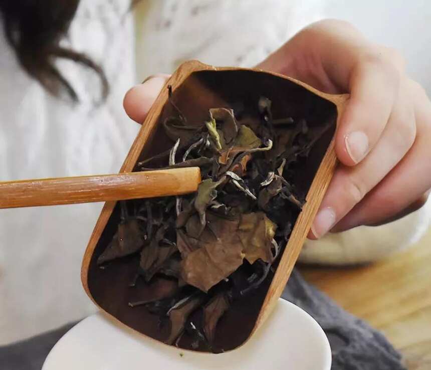 不论红茶绿茶白茶普洱茶，这几味的出现，意味着不能再喝了