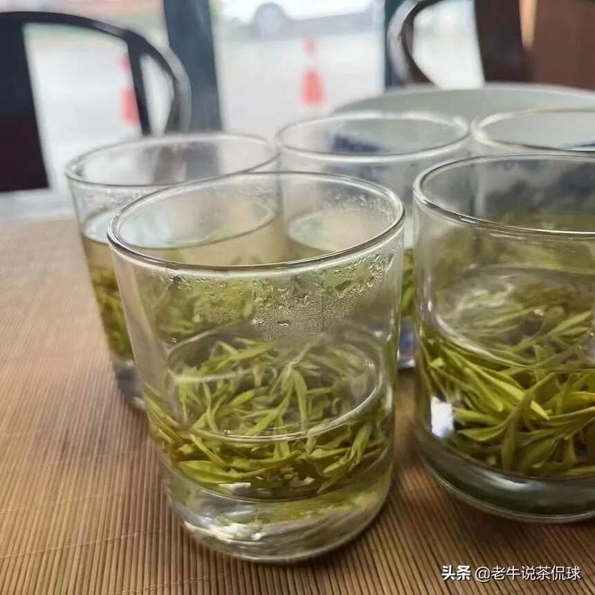 关于龙井茶—真真假假，如何买茶不吃亏？