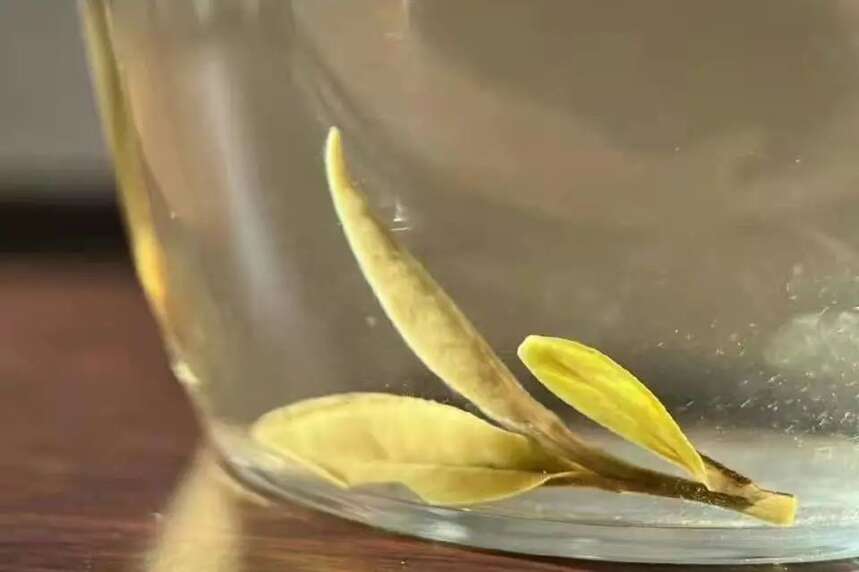 白茶的自然日光萎凋是徒有其表，还是真有作用？