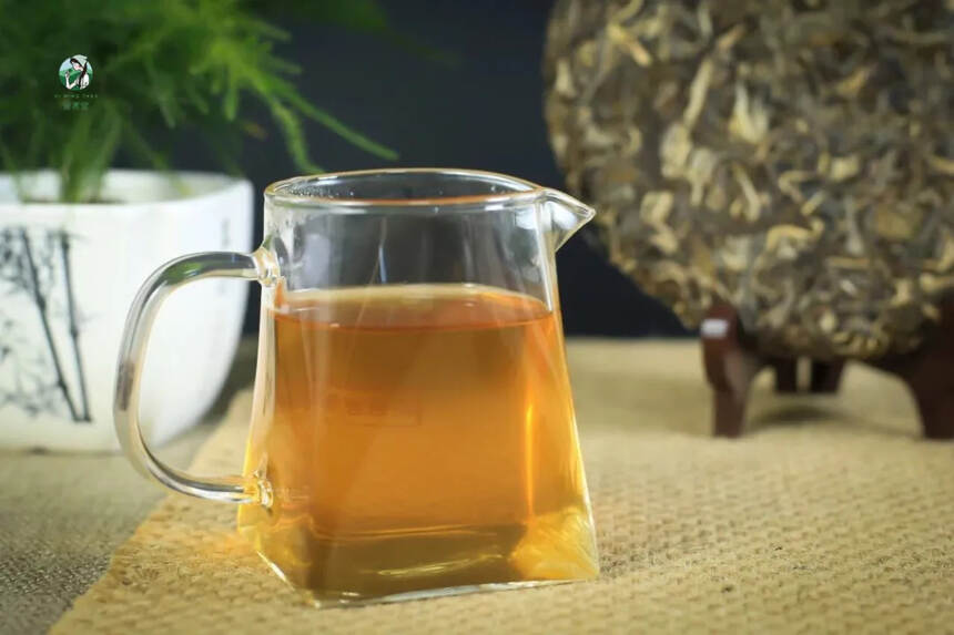 帕沙古树茶：七分班章气，三分冰岛甜，价格还十分美丽