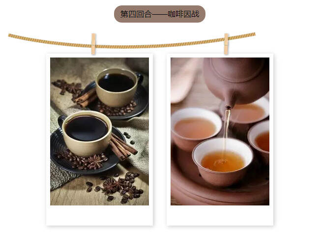 茶趣|Tea or Coffee哪种更适合做我们的最佳“水