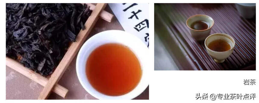 深度解析武夷岩茶之品种篇