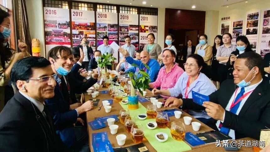 品茗话湘情 爱上白沙溪——外国专家安化黑茶文化体验活动举行