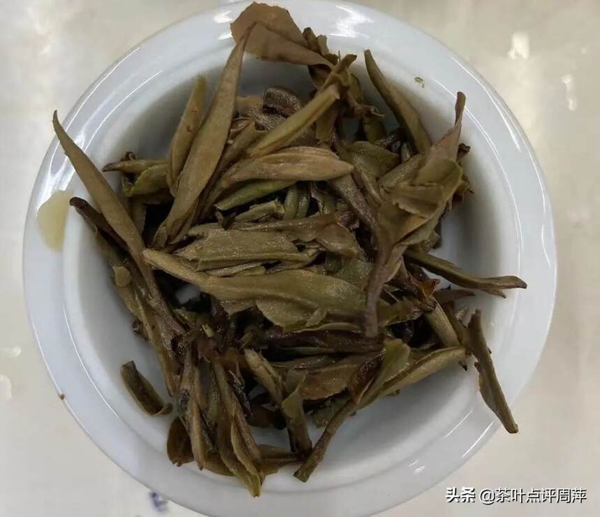 茶评：用绿茶的品种制作的白茶，你喝过吗？