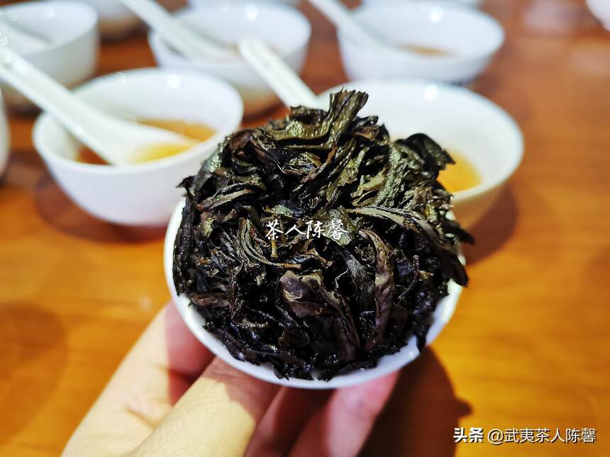 武夷岩茶为什么一年只采一季，你知道吗？