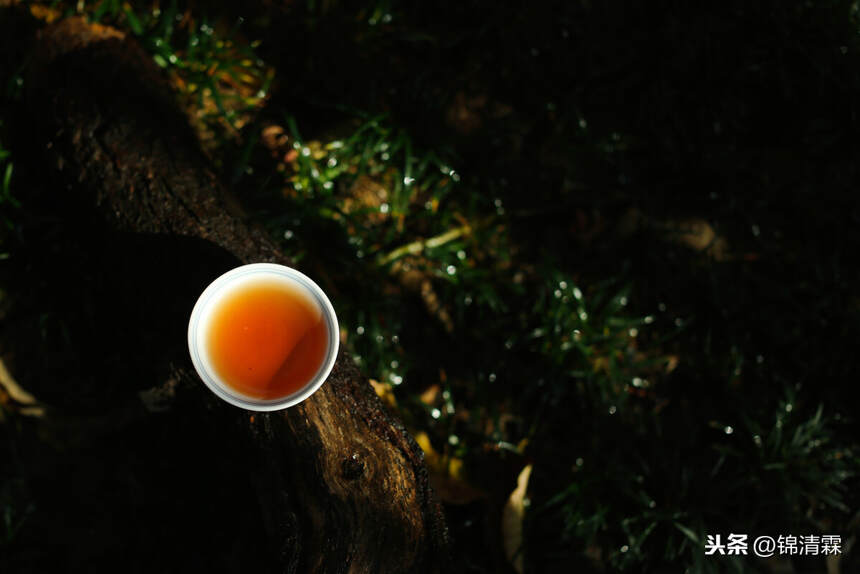 武夷岩茶的坑，很深很美，新手入坑注意事项，建议收藏