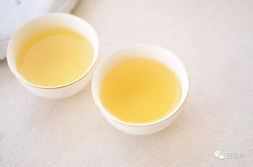 干货丨普洱茶故乡—千年传说“景迈”