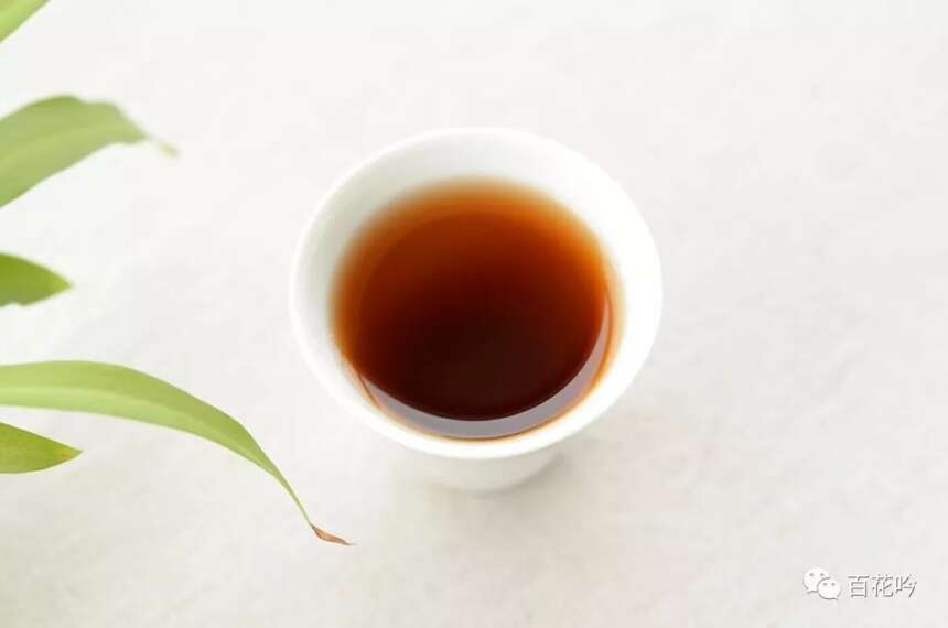 普洱茶山100讲丨第三讲版纳茶区：倚邦“有茶树、水井之地”
