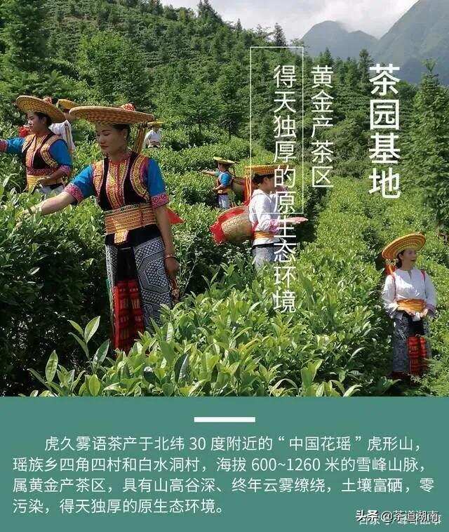 谭霞获得2021年邵阳市服务业技能竞赛茶艺师项目一等奖