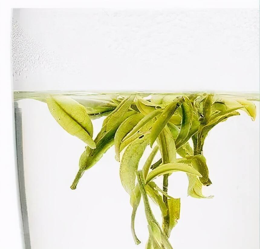 绿茶 | 安吉白茶为何叫“白茶”它的名字背后究竟隐藏了什么？