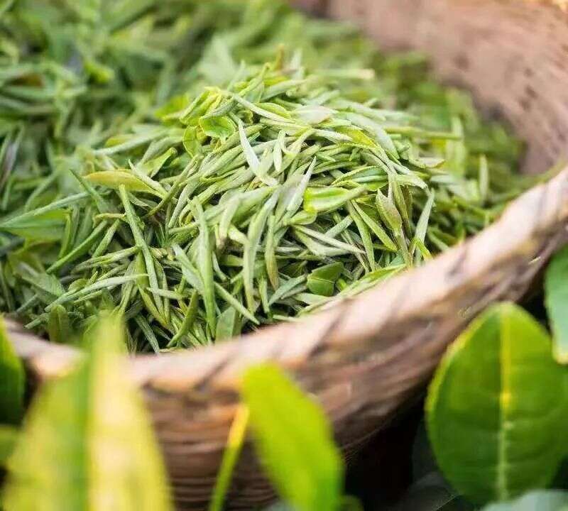 赣茶·动态｜遂川茶产业延伸扶贫产业链