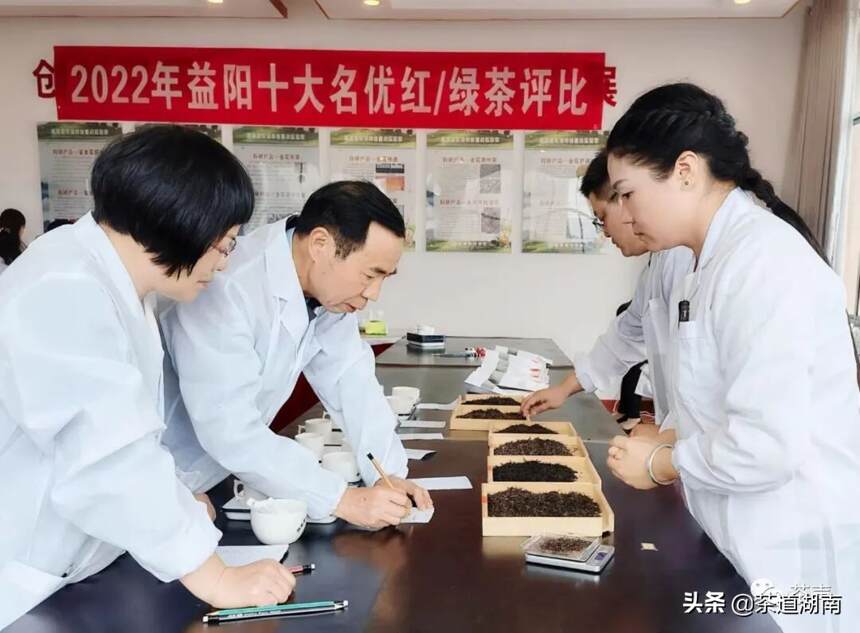 益阳十大名优红绿茶评选审评会在湖南城市学院举行