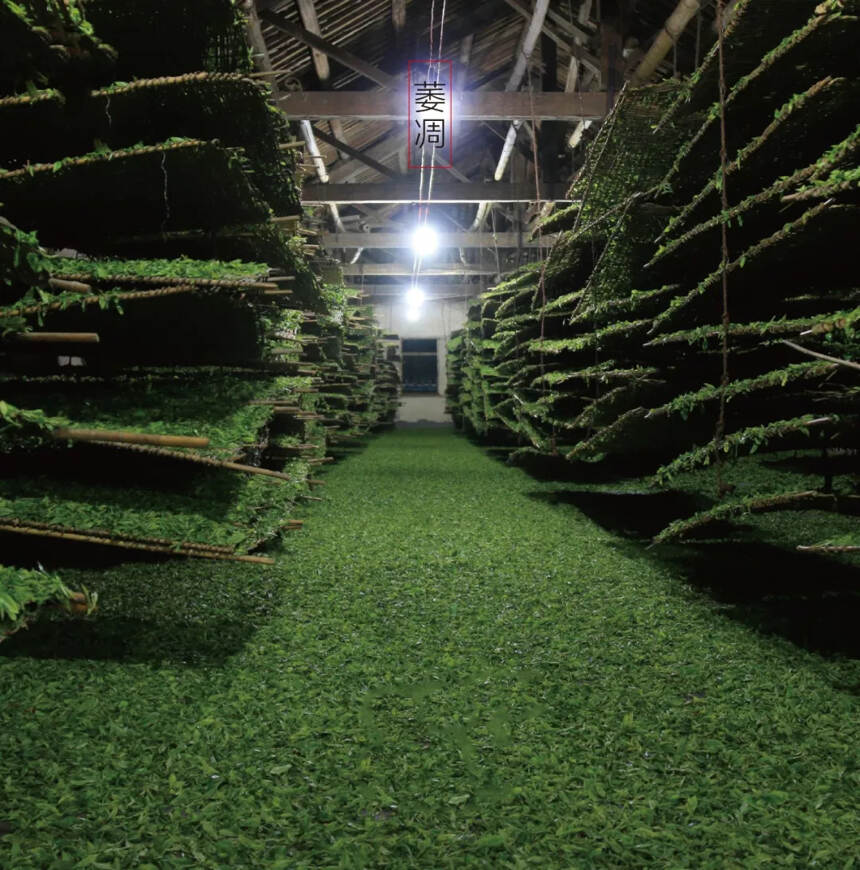 让世界了解滇红，凤庆滇红茶的制作工艺全流程