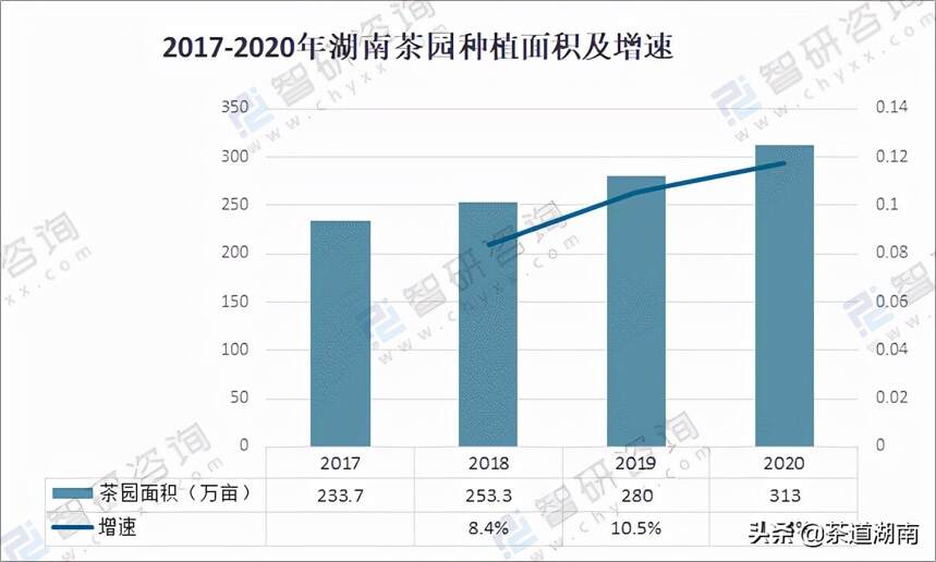 2020年湖南省茶叶种植面积及产量分析：绿茶产量最高【图
