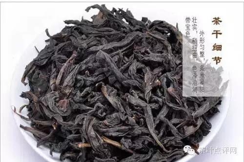 茶理王|武夷山岩茶当家品种--醇不过水仙