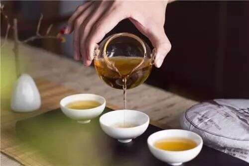 茶小白「白茶特辑」丨 夏天上火，来一壶比王老吉更厉害的老白茶