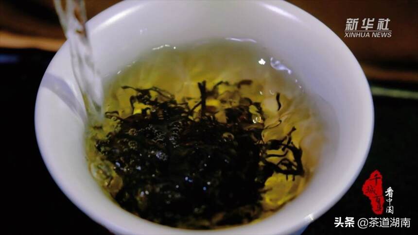 湖南新化：茶旅文化赋能乡村振兴