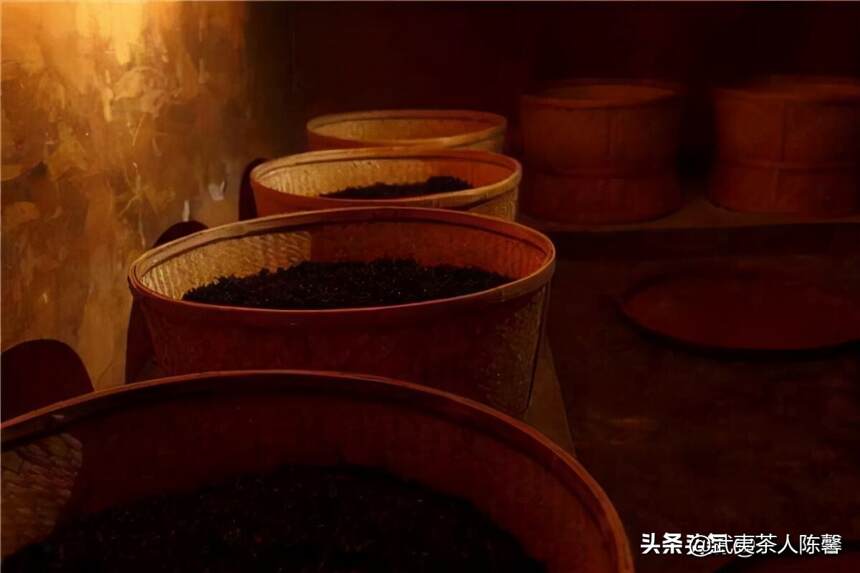 武夷岩茶不同程度的焙火带来了哪些不一样的风味密码