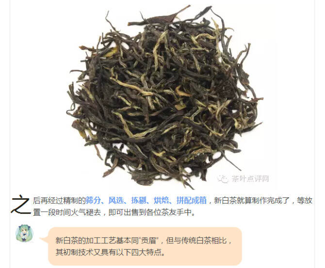 茶理王|新工艺白茶制作过程
