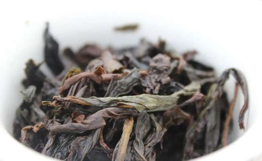 青茶 | 闽北乌龙 --- 武夷岩茶之菜茶因何而成岩茶始祖 名丛因何而成名