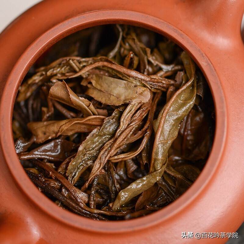 茶知识丨普洱生茶存久了会变成熟茶吗？