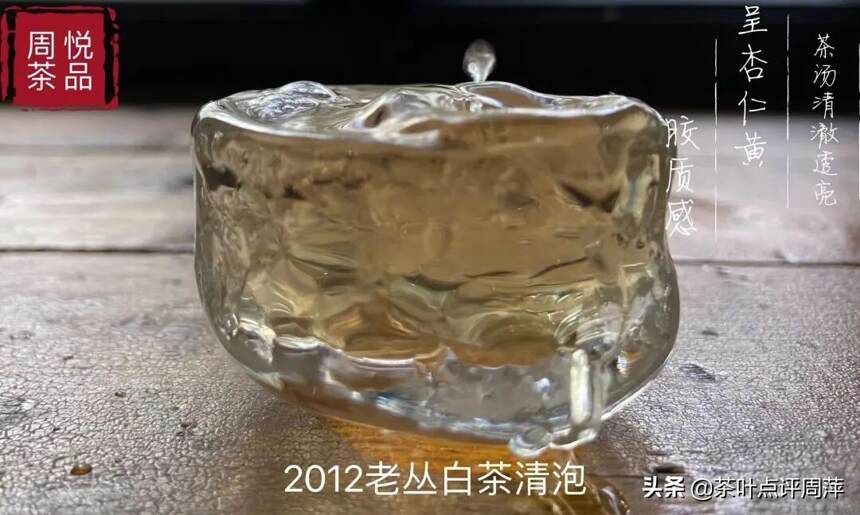 2012老丛白茶：是藏红花这样昂贵的香料煨出的药感蜜香