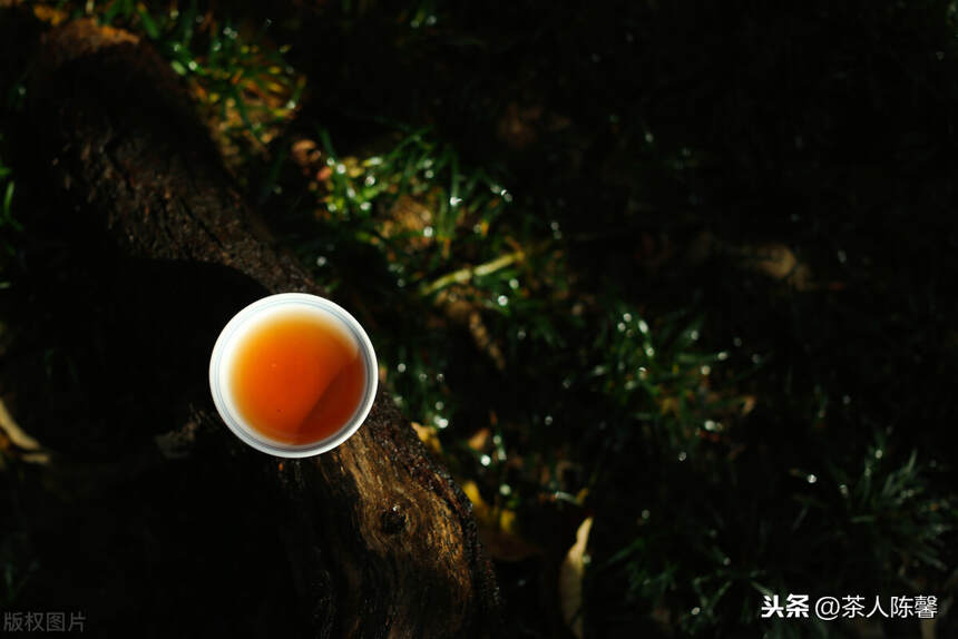 喝懂岩茶不再是件难事，新茶上市在即选购岩茶避雷指南