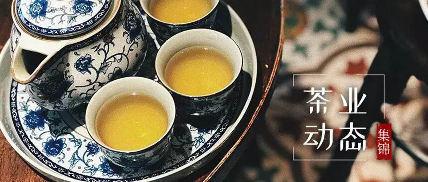 赣茶·动态 | 江西“乡村茶旅”综合体打开新格局