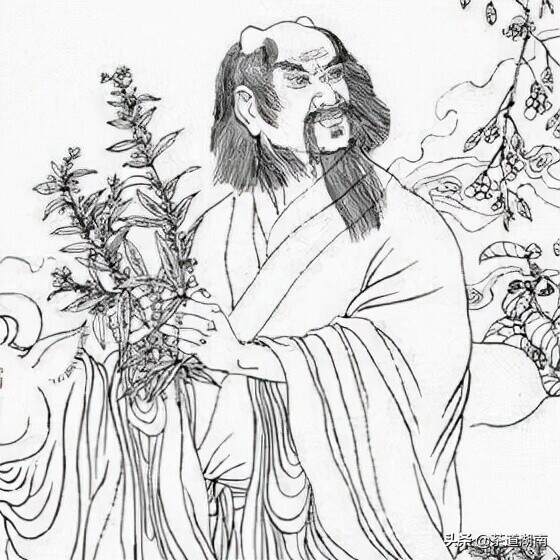 郴州福茶故事第一集：茶祖神农在狗脑山上发现茶