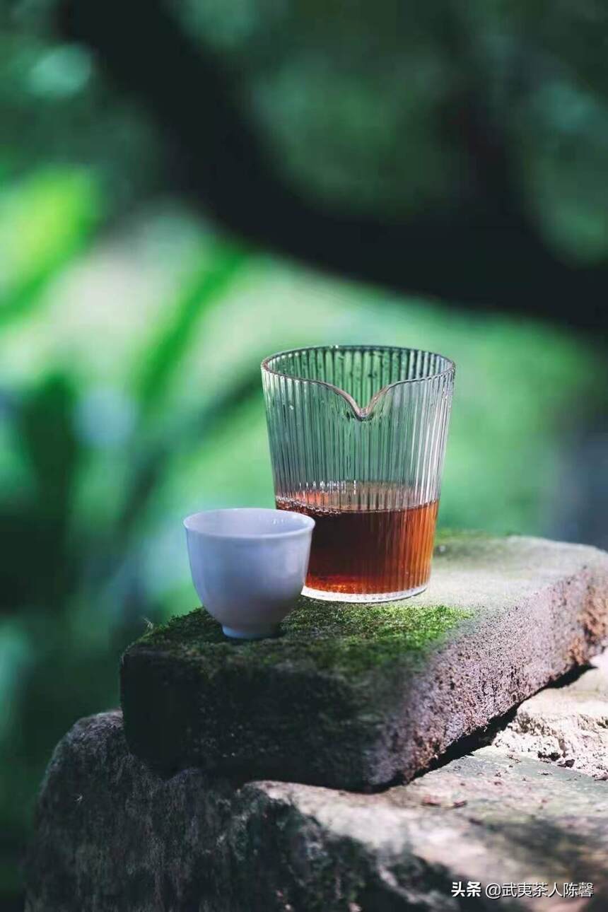 高温来袭，你的茶叶要怎么“避暑”？
