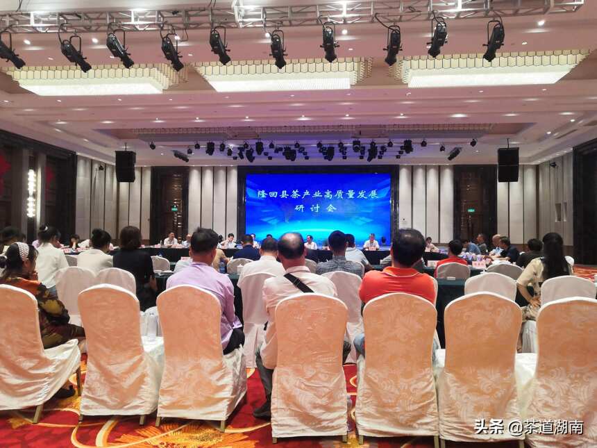 隆回县茶产业高质量发展研讨会举行