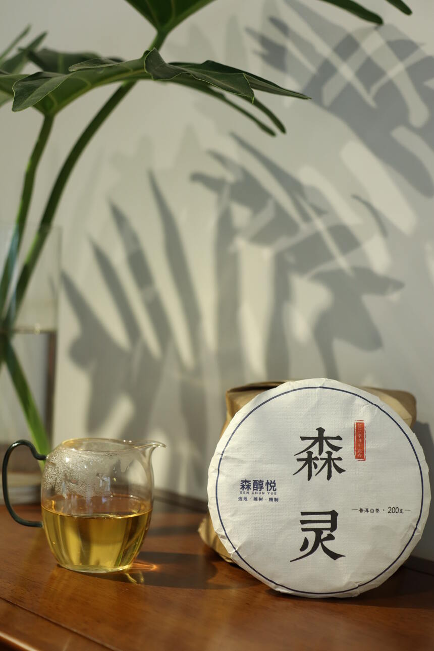2021年龙潭箐「森灵」古树白茶，清灵、纯净、香甜