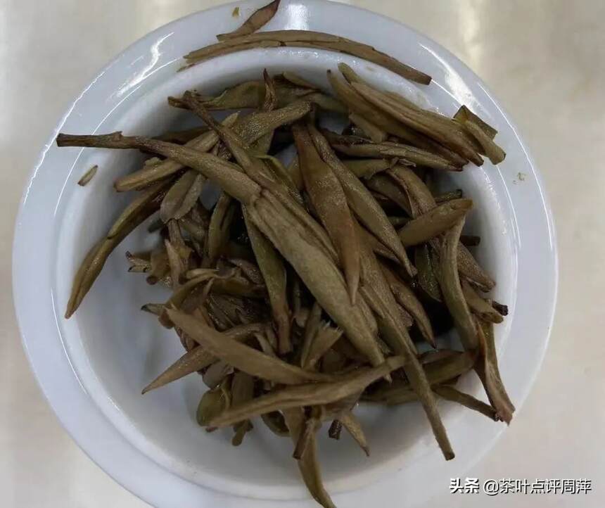 茶评：用绿茶的品种制作的白茶，你喝过吗？