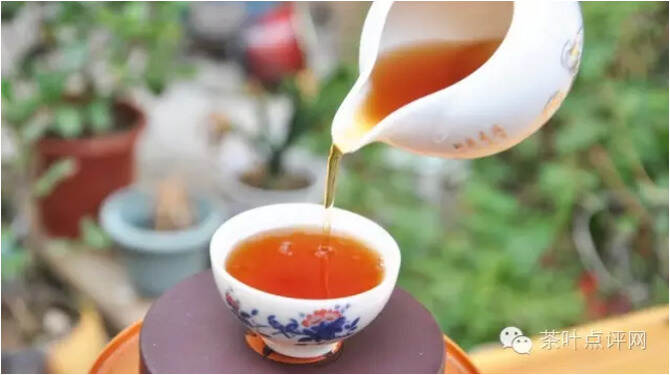 茶文化｜大红袍的前世今生