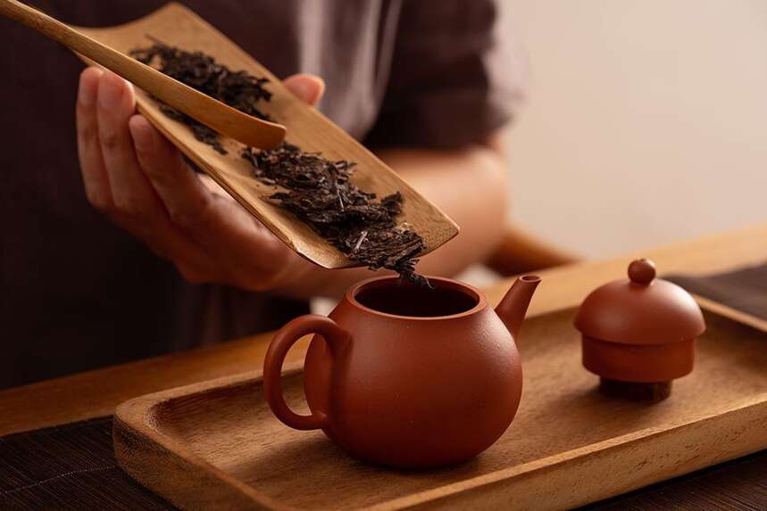 熟茶与黑茶的区别