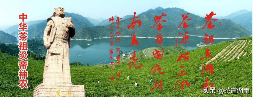 茶香舜皇山老山界——写在第三届舜皇山野茶节举办之际