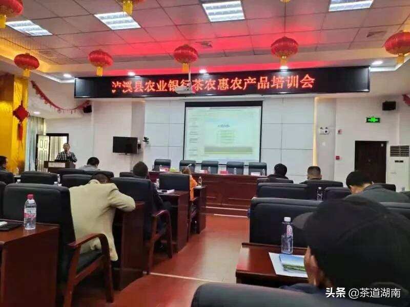 泸溪县开展2021年今冬明春茶叶生产实用技术培训