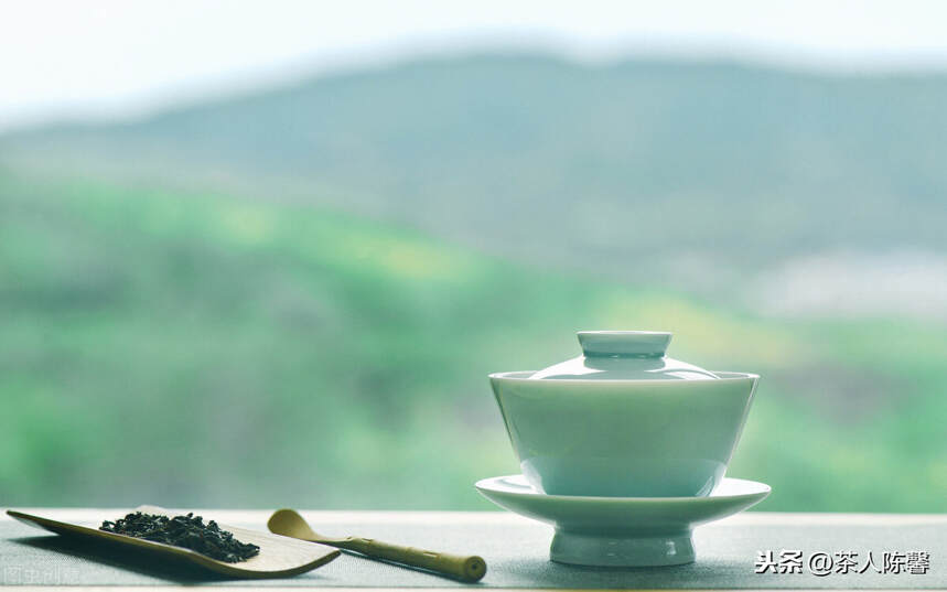 带你走进家乡的茶文化——武夷茶文化