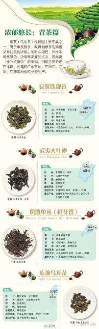 茶修|八张图教你关于中国茶的冷知识！