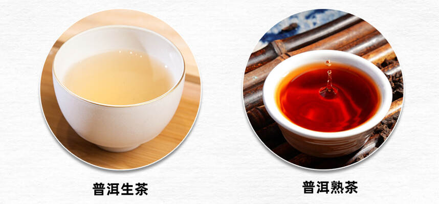 初识普洱 | 普洱生茶、熟茶到底是哪里不同？