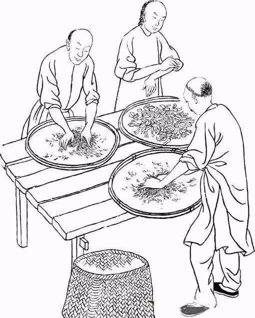 武夷岩茶在制作工艺上是如何分类的
