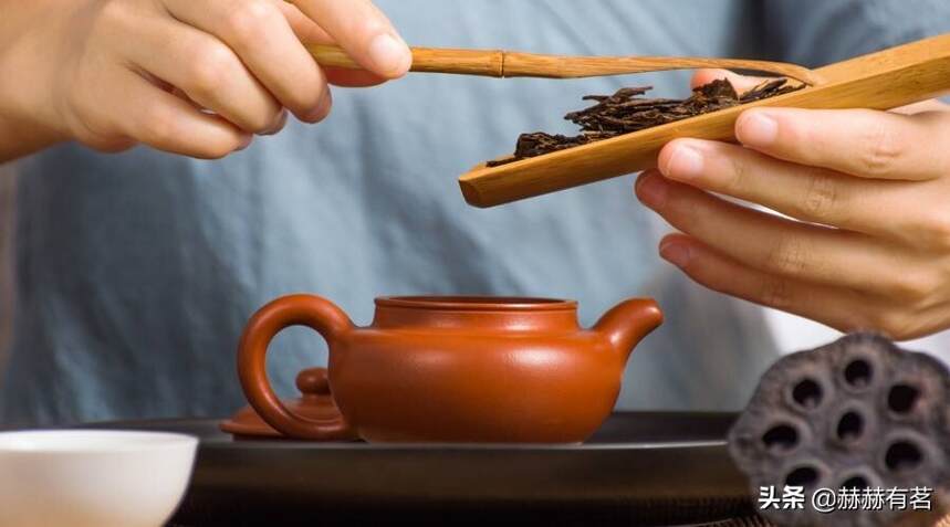 普洱熟茶和生茶泡法有何不同？对比揭秘，一篇搞懂