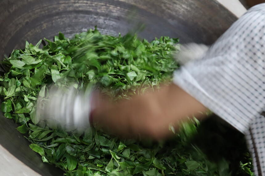 普洱茶中最为讲究的制作工艺，你知道吗？