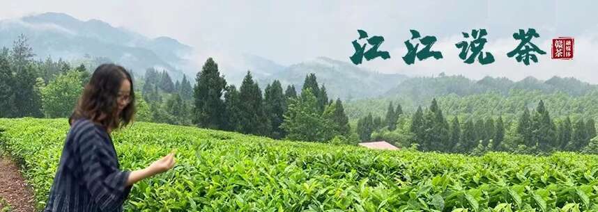 赣茶·快讯 | 抱团发展 促“江西茶出山”