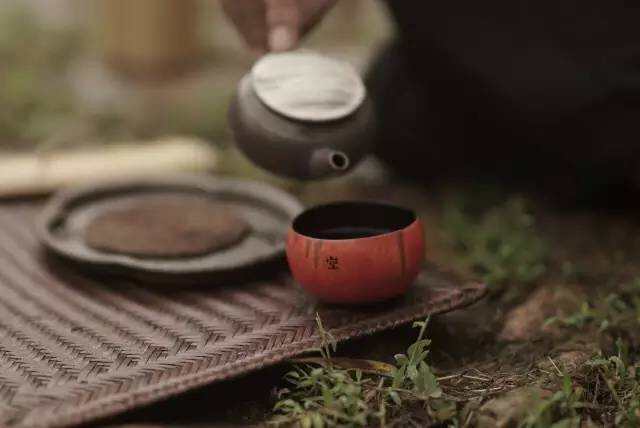 茶叶历史悠久，关于茶的起源我们又被骗了