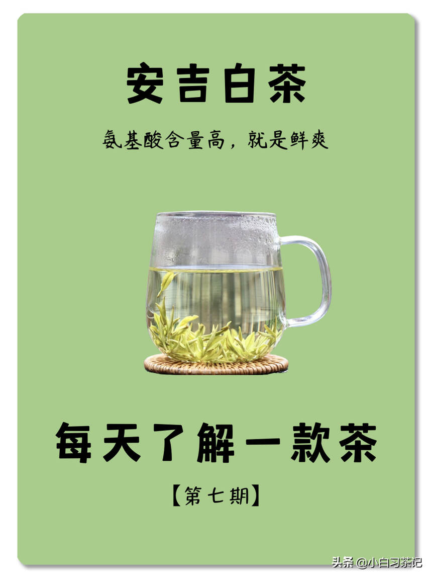 每天了解一款茶，第七期，安吉白茶
