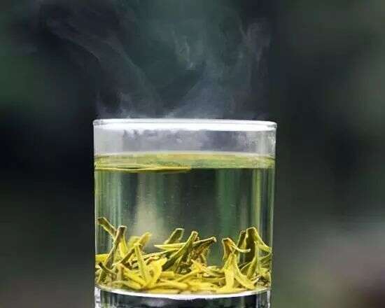 绿茶要什么泡才好喝？