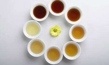 茶理王|茶叶成分|咖啡碱（二）